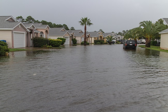 Flooded Florida Subdivision of Houses